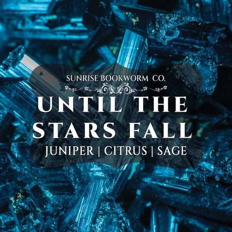 Until the Stars Fall | Novel Inspired