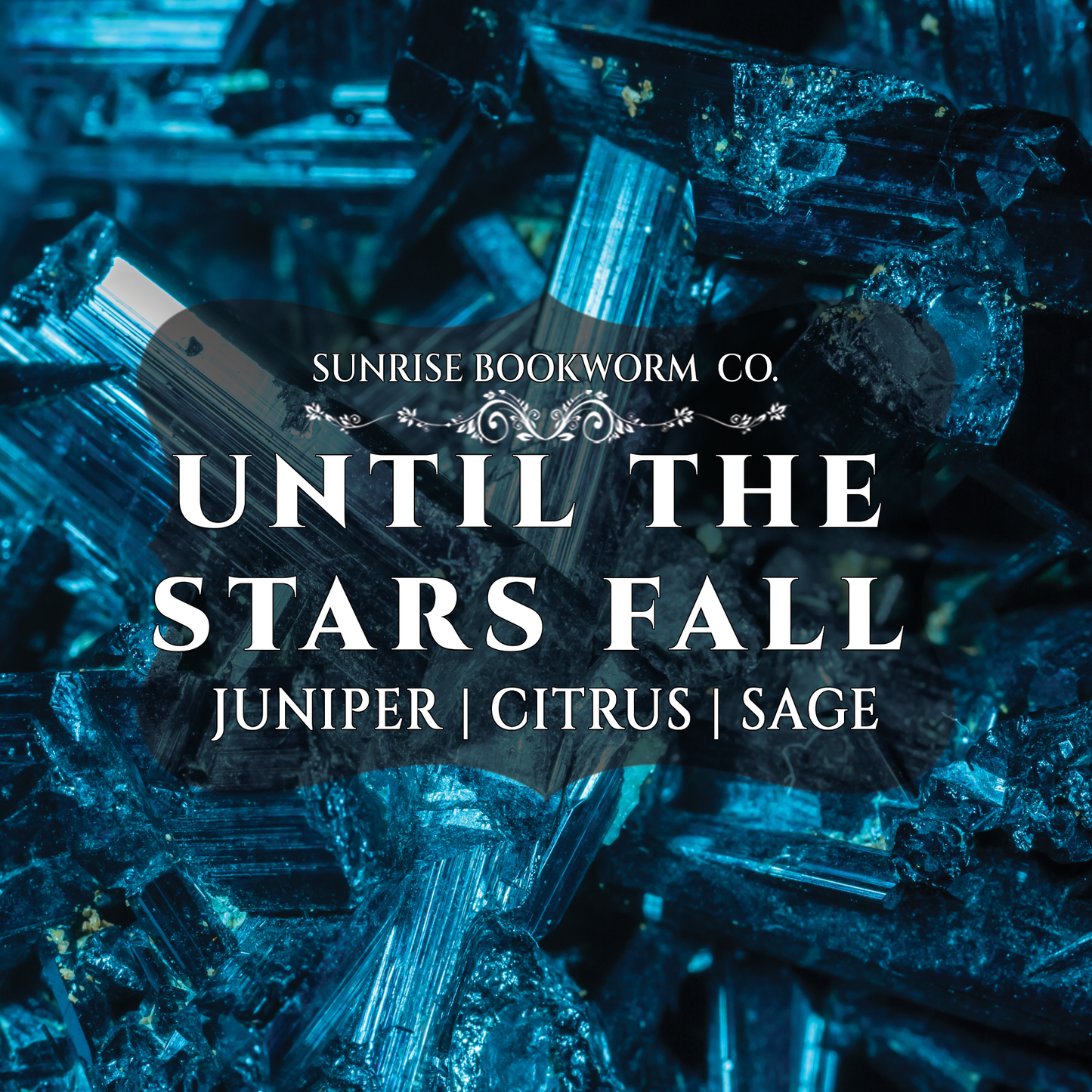 Until the Stars Fall Bundle Box